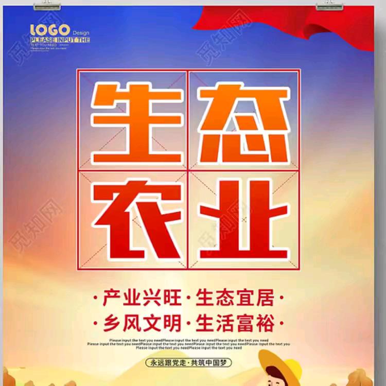 张翔的美好生活