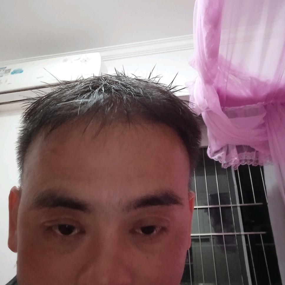 单身，何俊