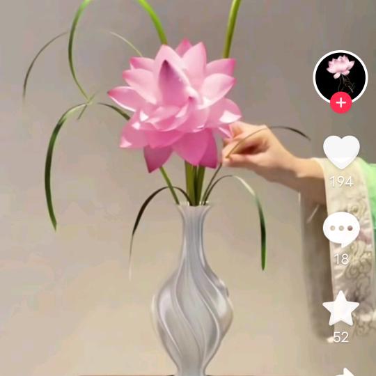 驾校报名出租挖机，嘉艺舞狮团