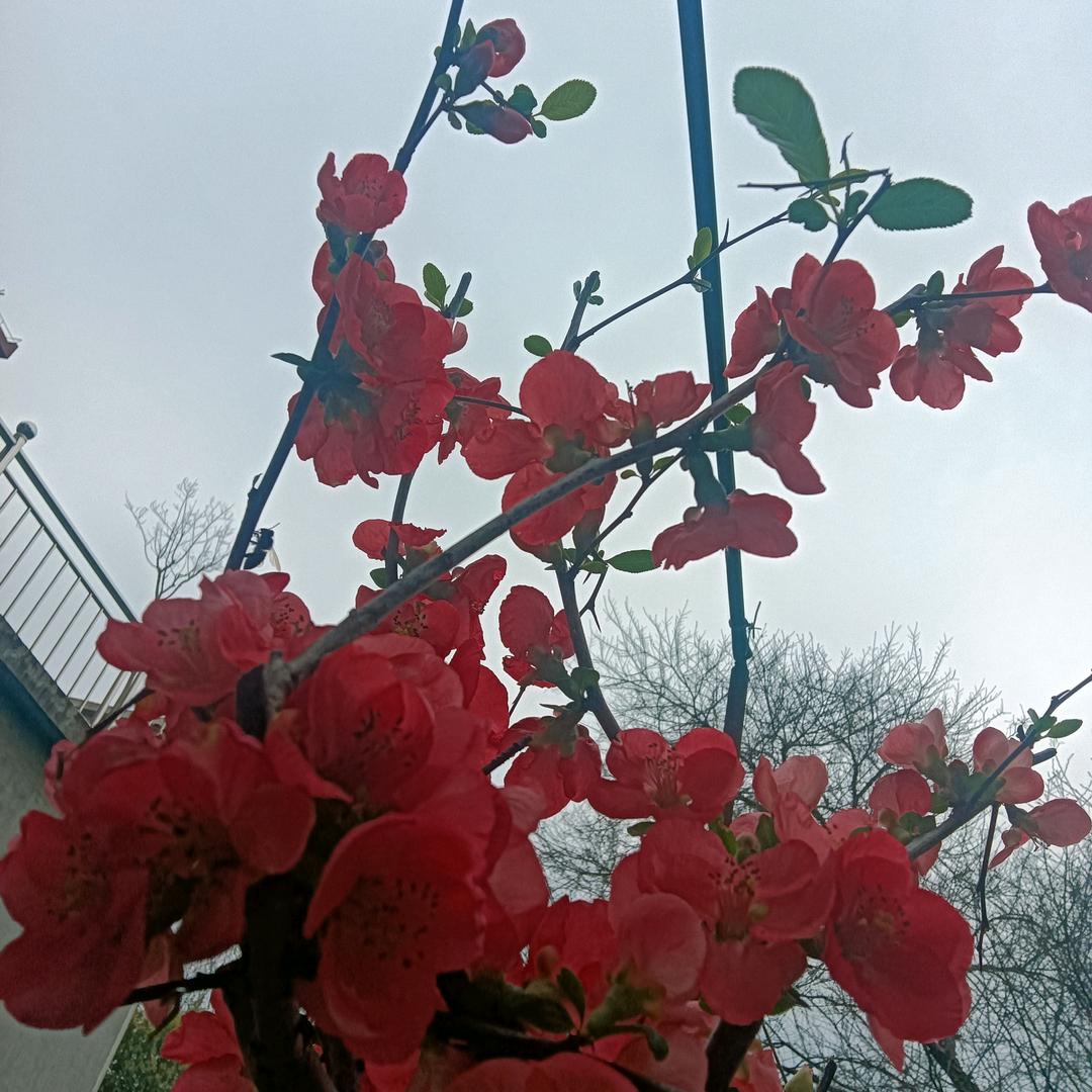 健康就好