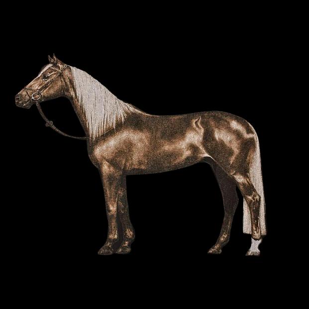 跃马行空 🐎✨