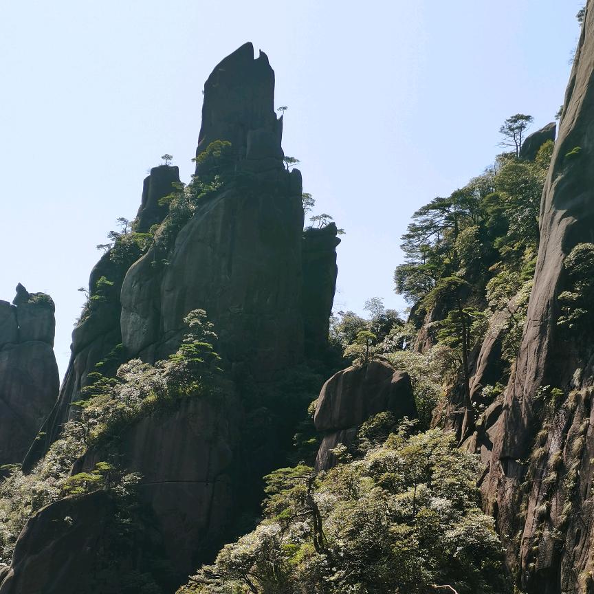 魔图咯