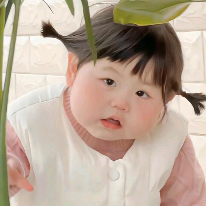 佛晓晨曦