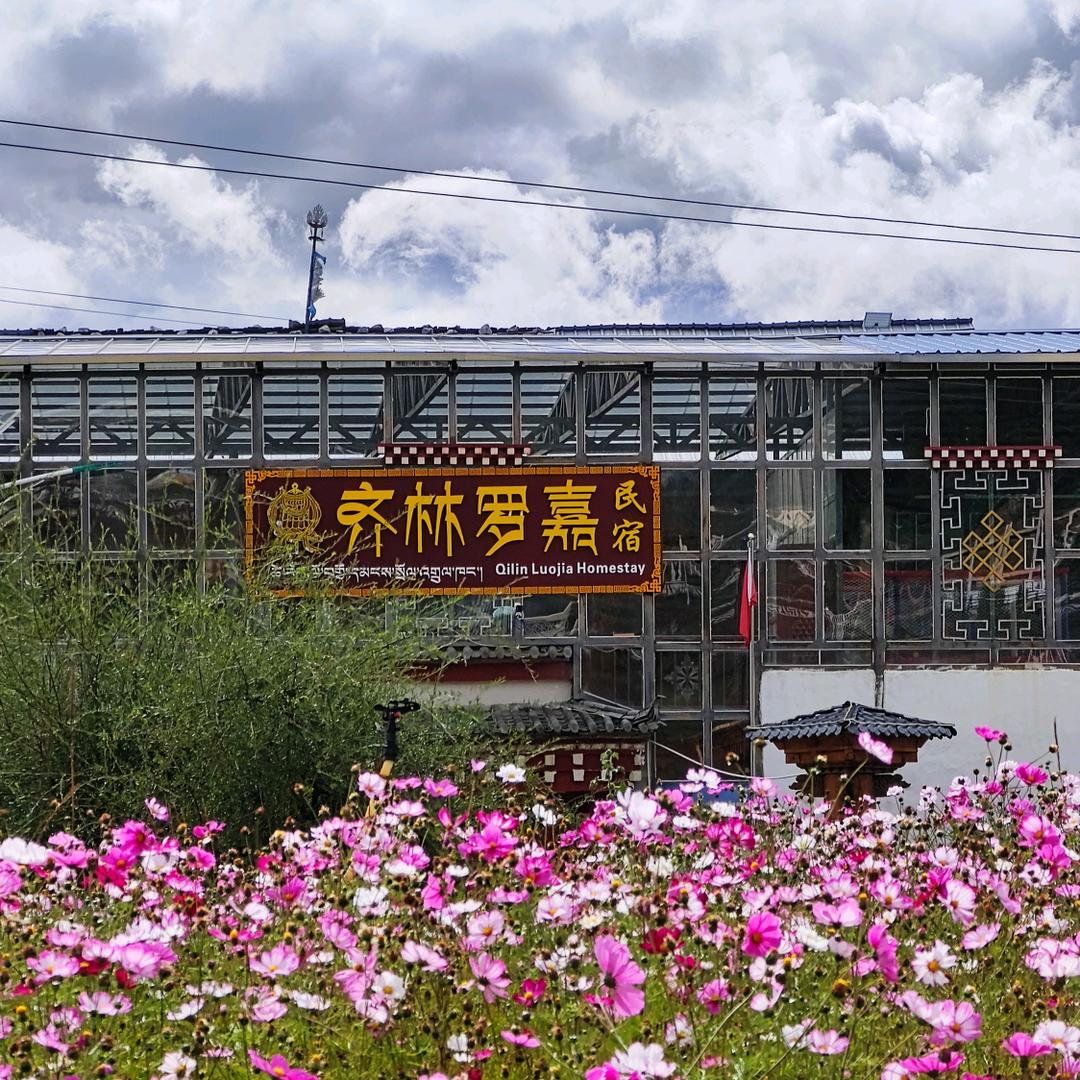 只做原生态农副产品的～洛嘉