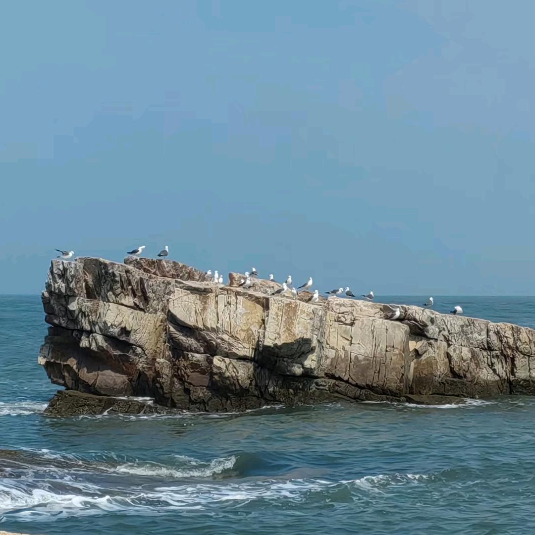 🌈不忘初心🌈