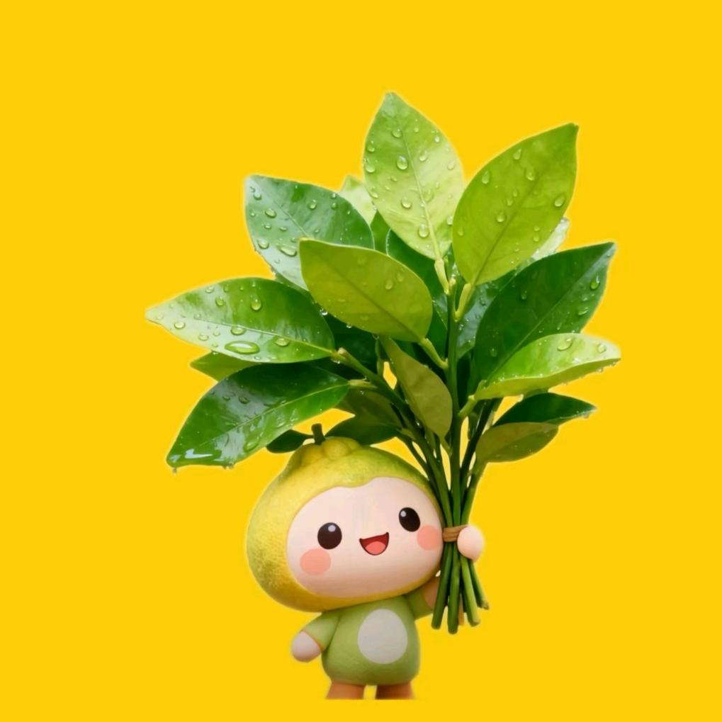 是小饶吖