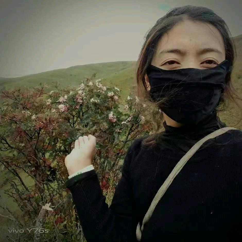 怪怪
