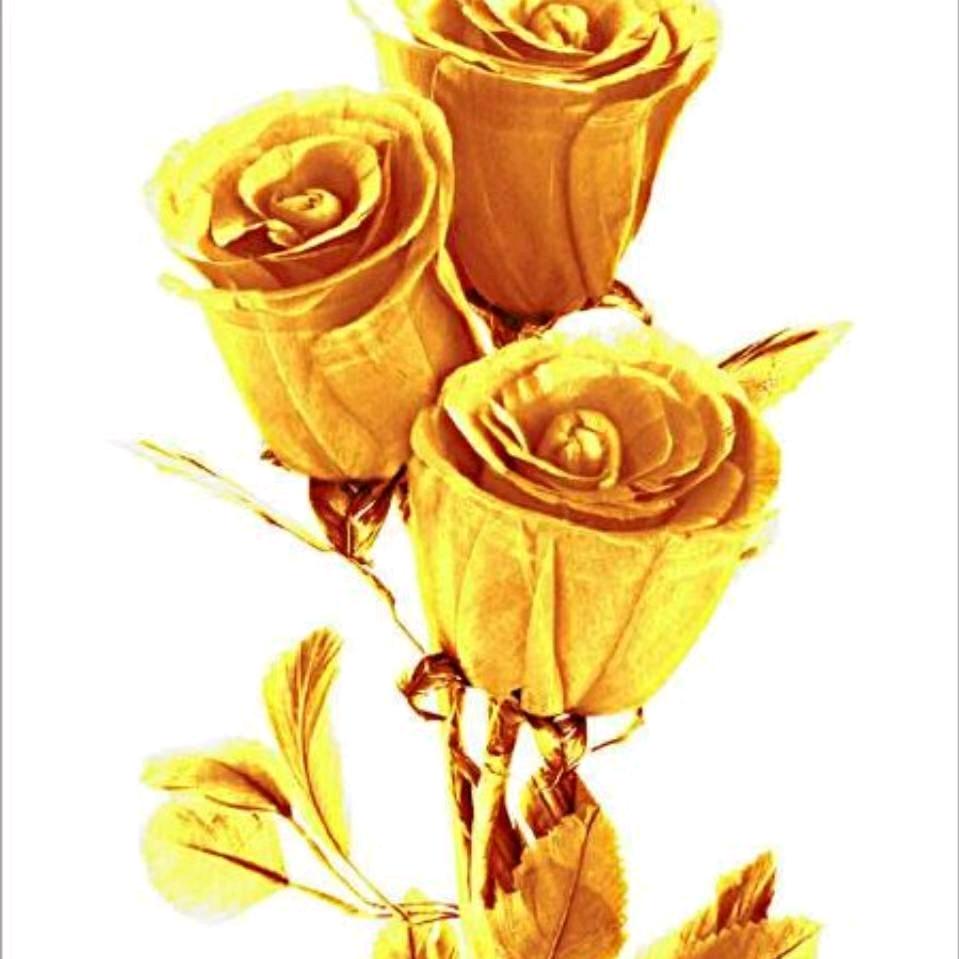 金色玫瑰