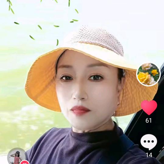 梅兰竹菊。。
