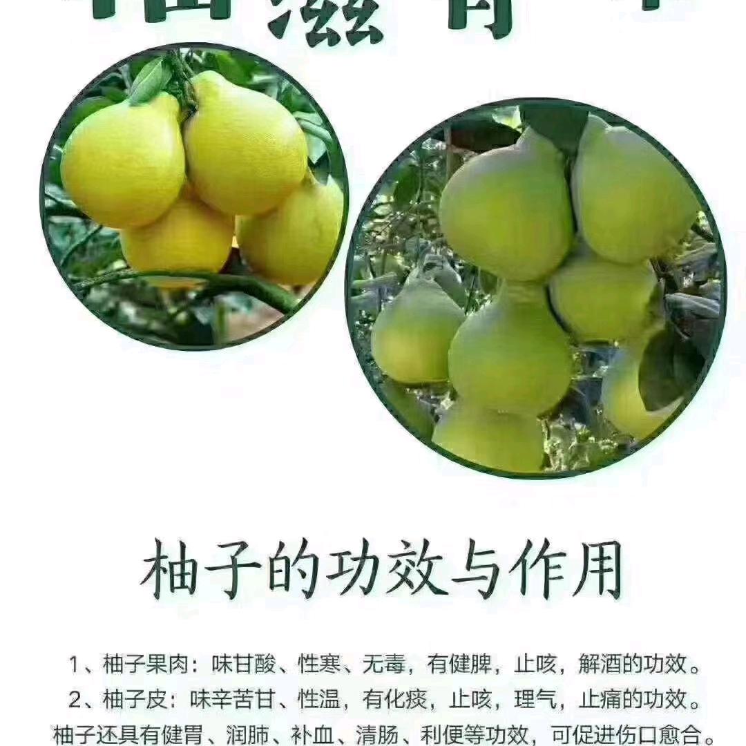 江夏堂！专业代销收购四季水果