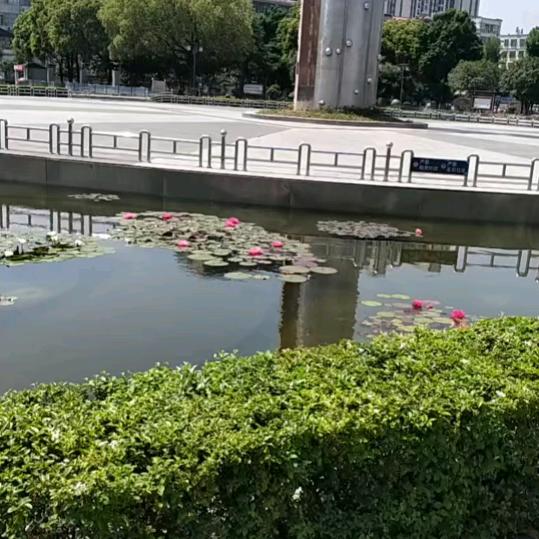 静守时光