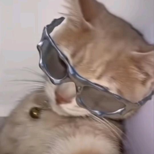 魁bb