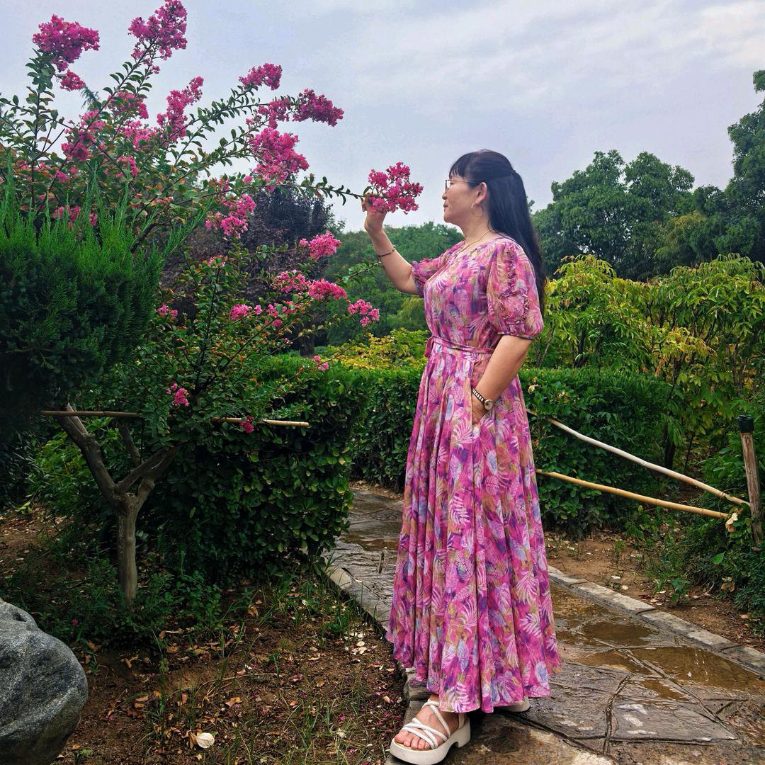 迎春花开