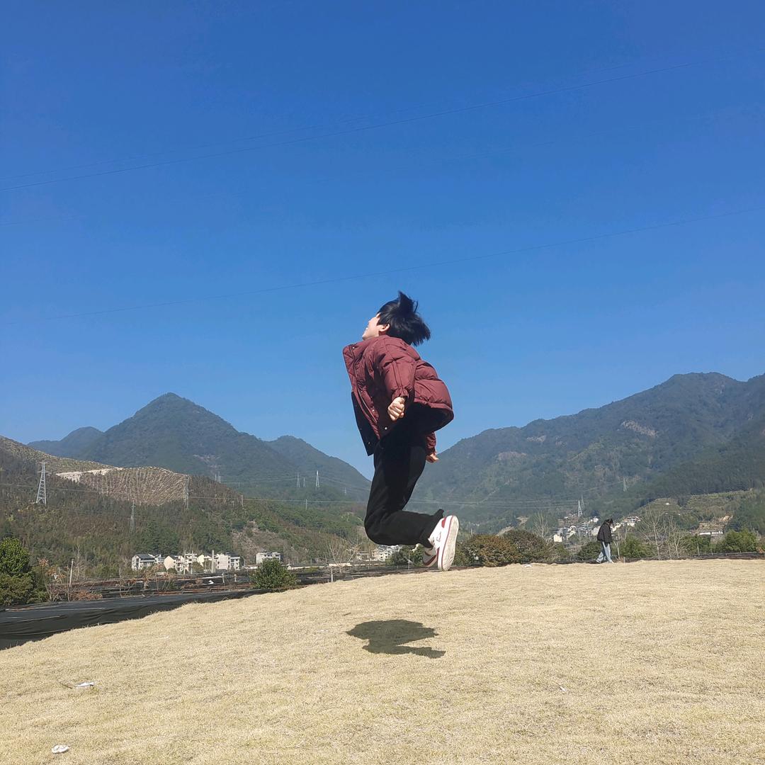 庆元三棵树艺术涂料