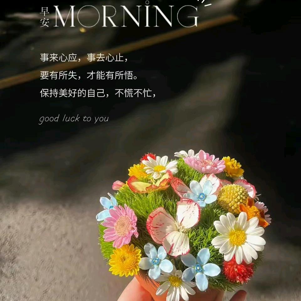 《满天星》