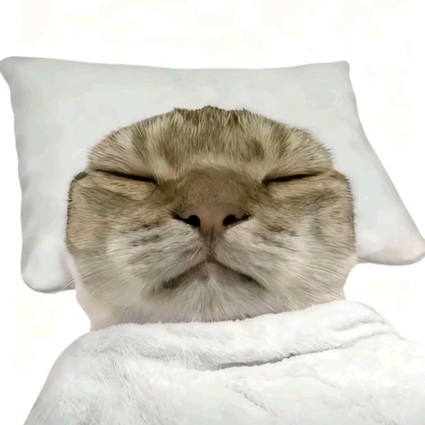 骂我闺蜜死的快（筱筱喑）