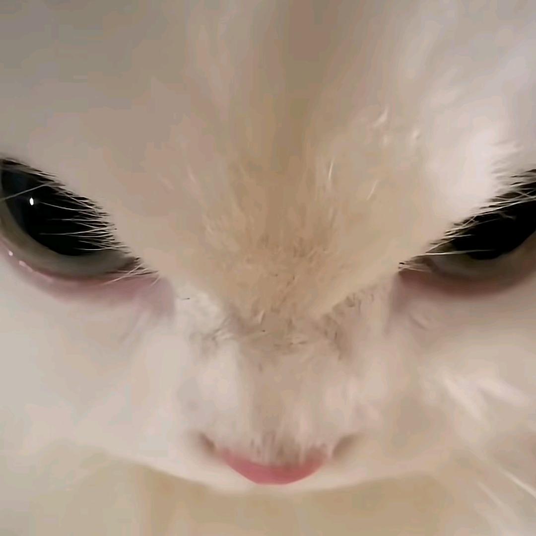 千灯