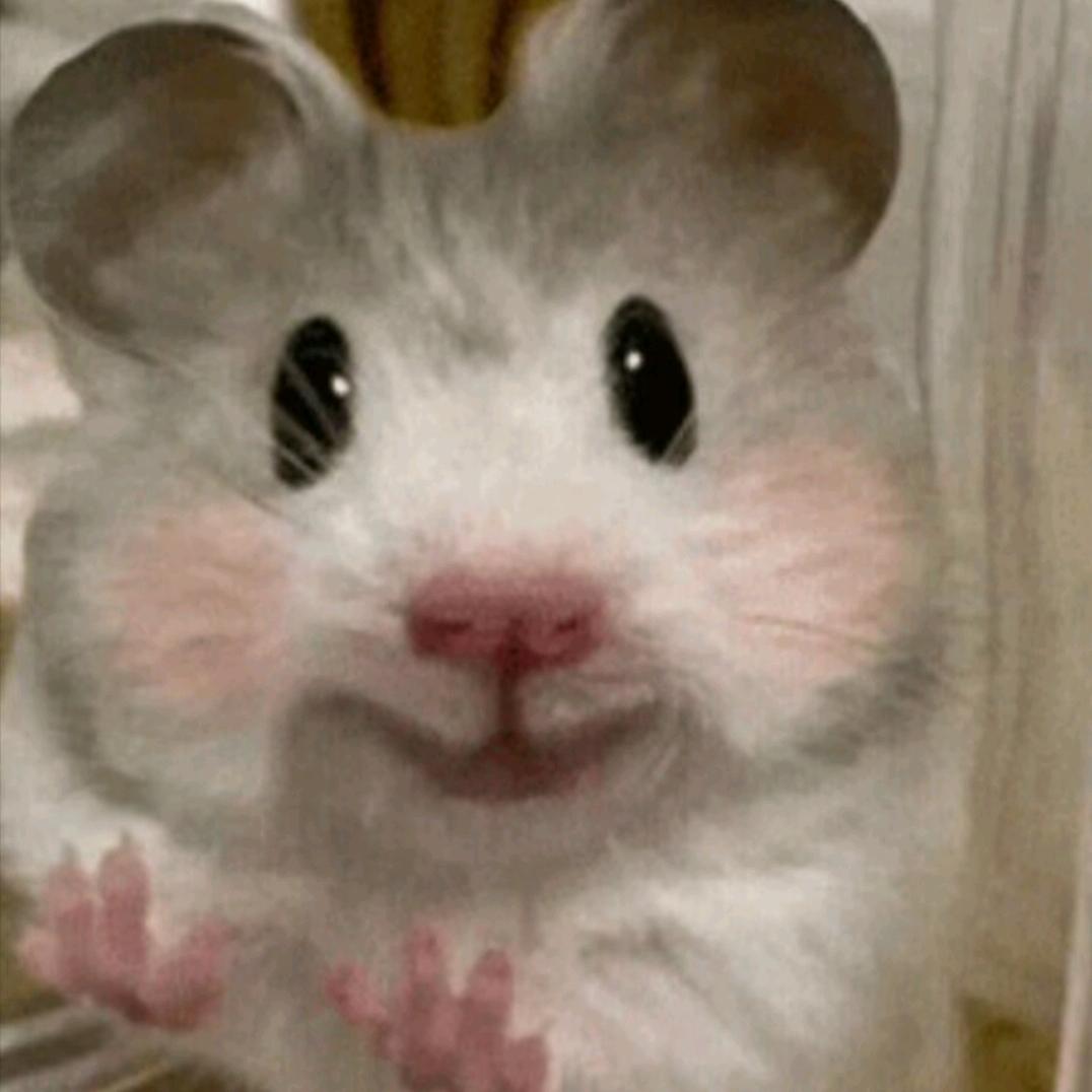 豆芽♛