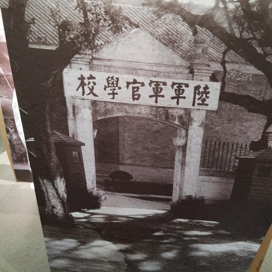 杨红（带徒弟）