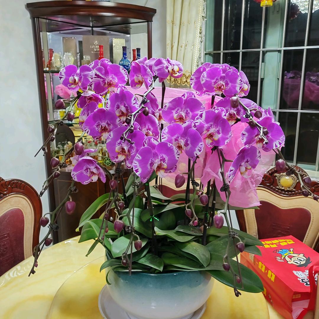缘来是谁