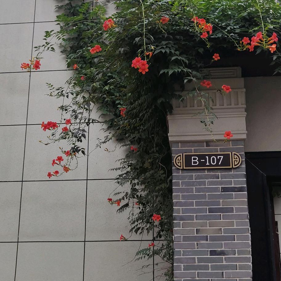 一山一水，风景如画