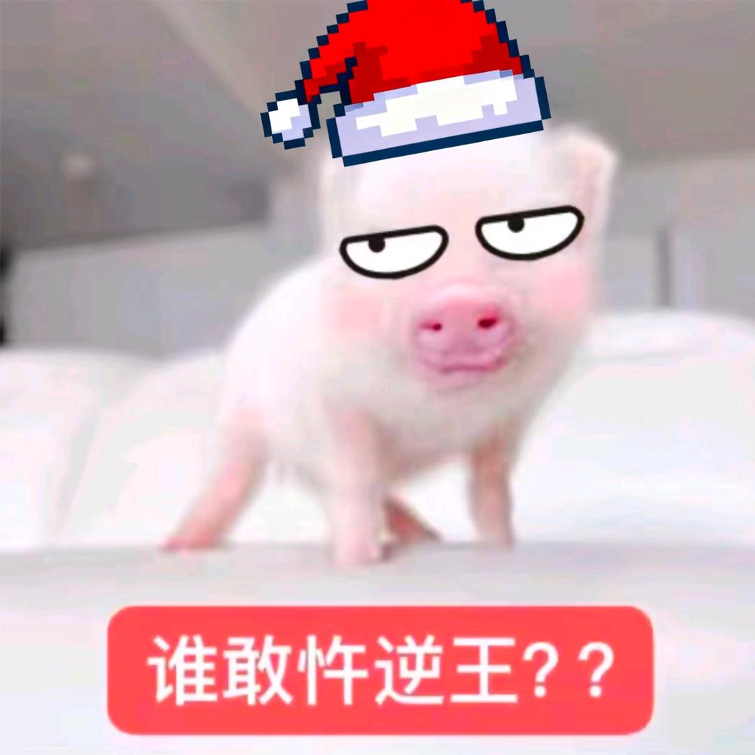 小宇得志