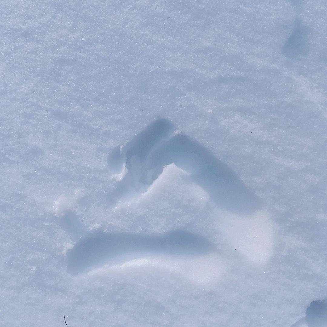 @雪儿