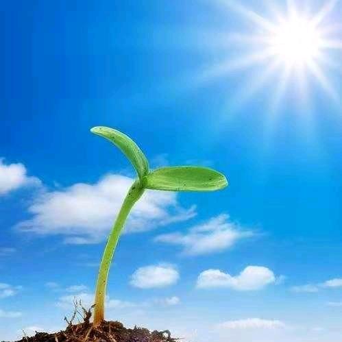 ꧔ꦿ᭄ 龙🕊行💞天下᭄࿐