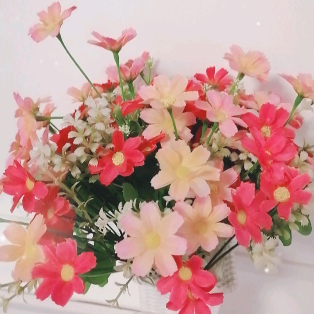 秀英（爱吕剧，爱唱歌）