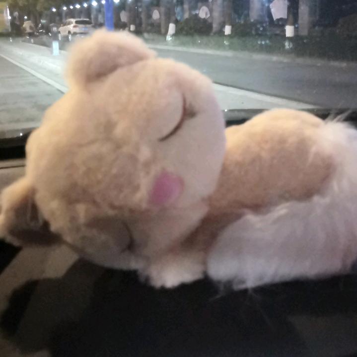 你看天边夕阳落下