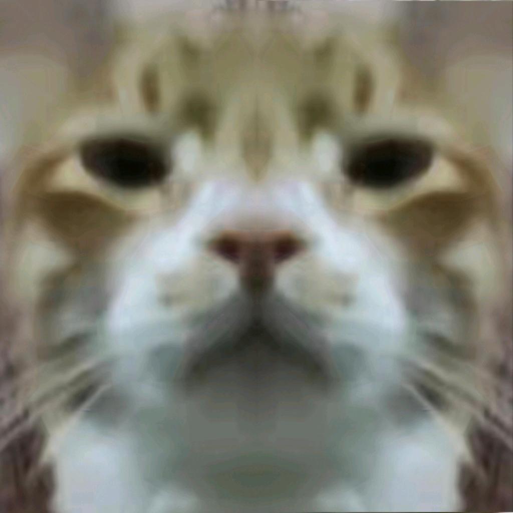 猫反八(善财求推荐版)