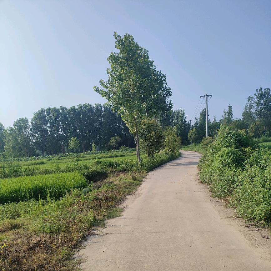 潢川小强哥