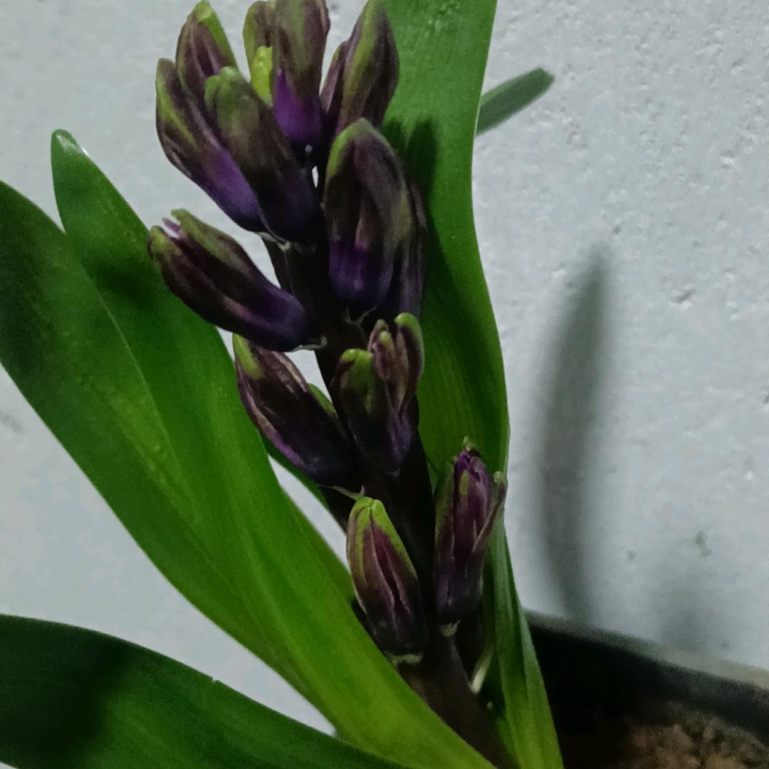 都在面对生活的残酷