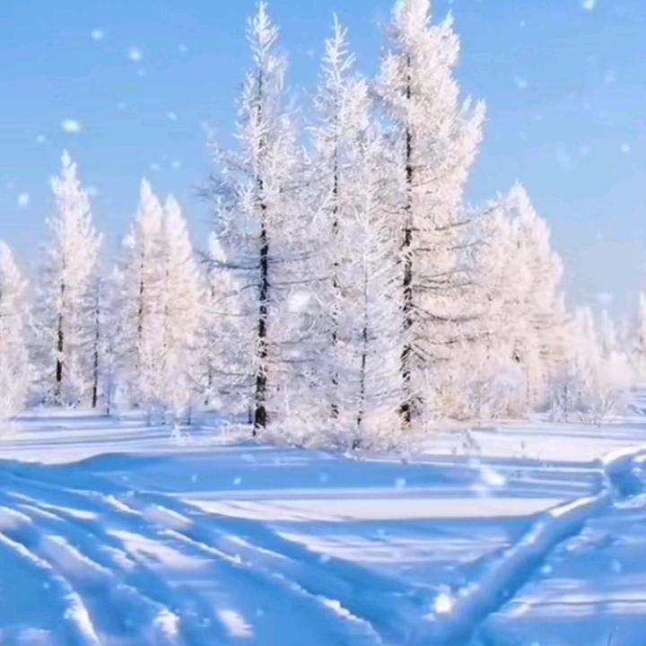 栗