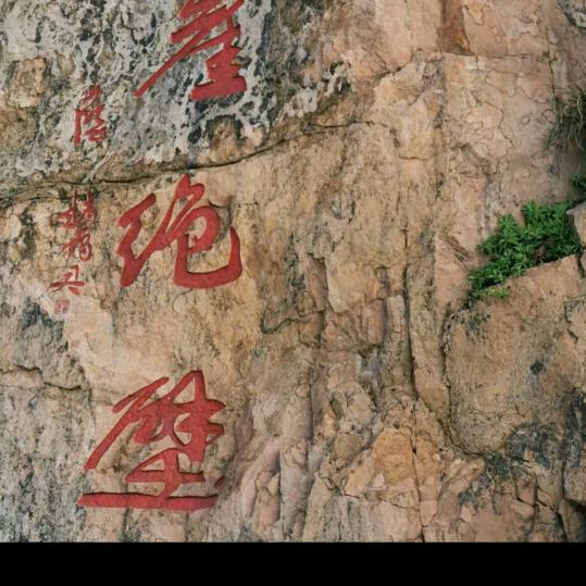 自由自在：