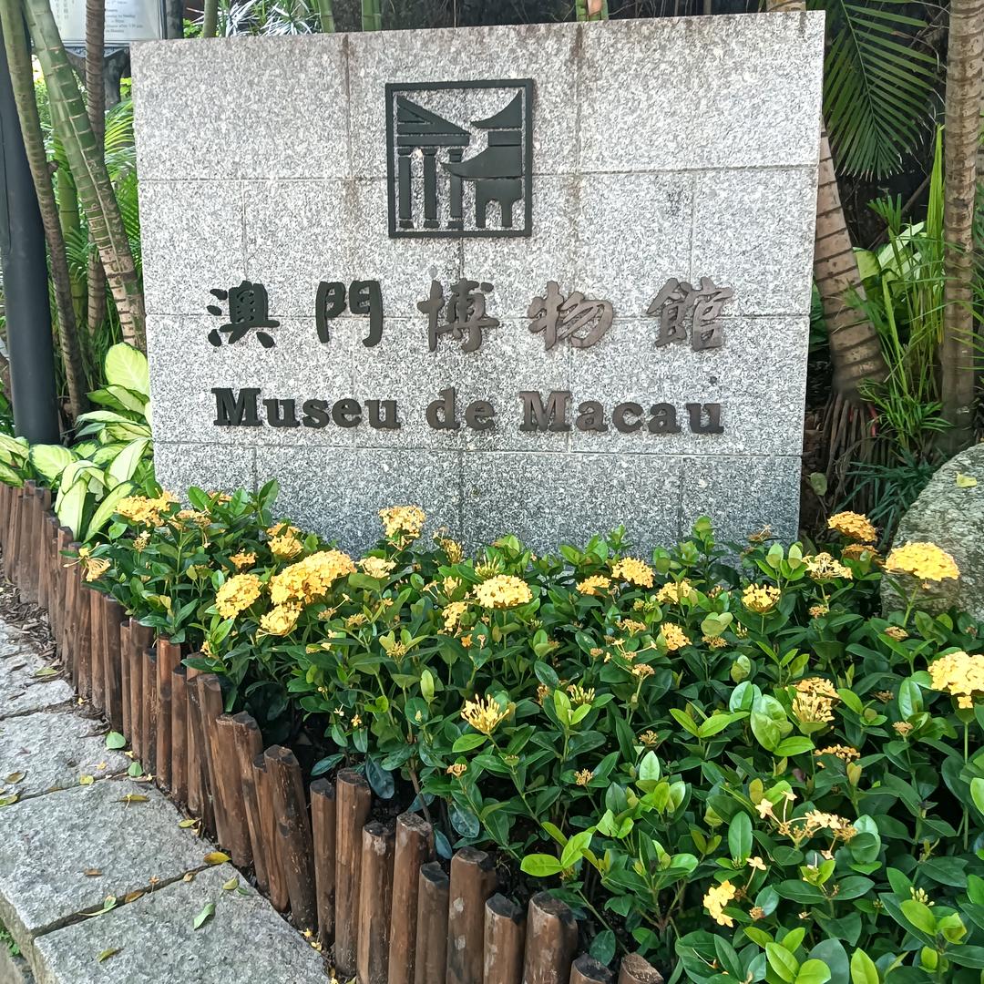 带刺的玫瑰🌹