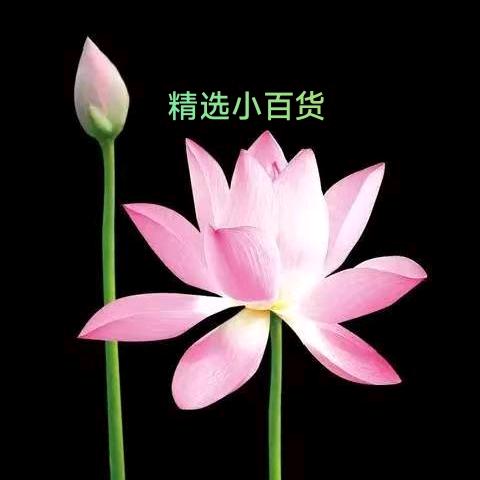 精选小百货