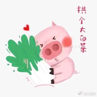 拱韩白菜的朱