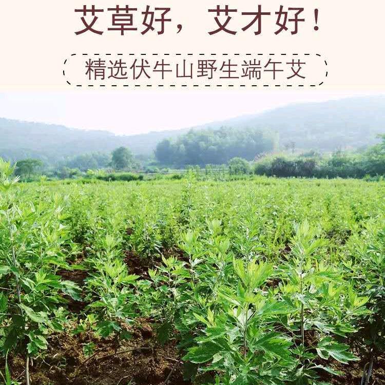 豫南艾制品