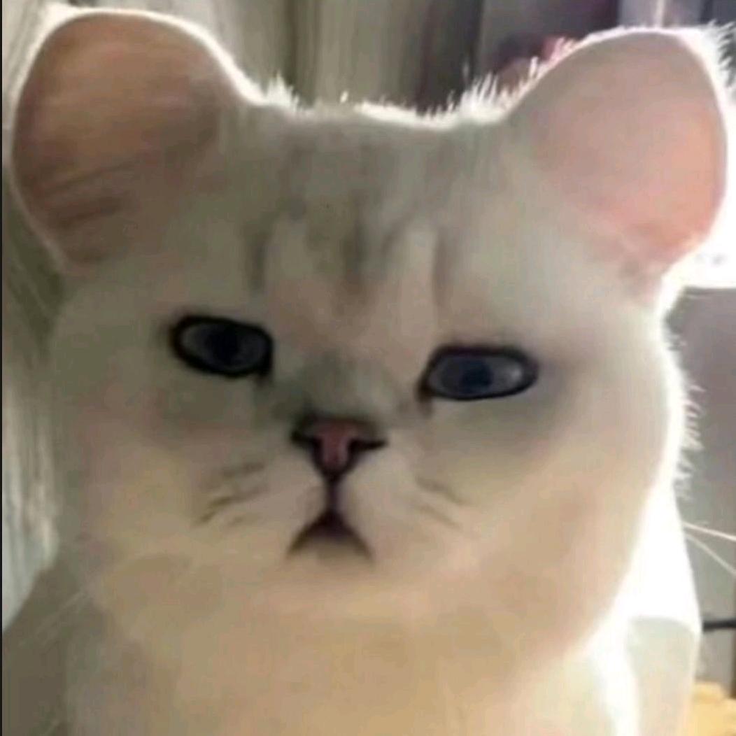 抽纸盒