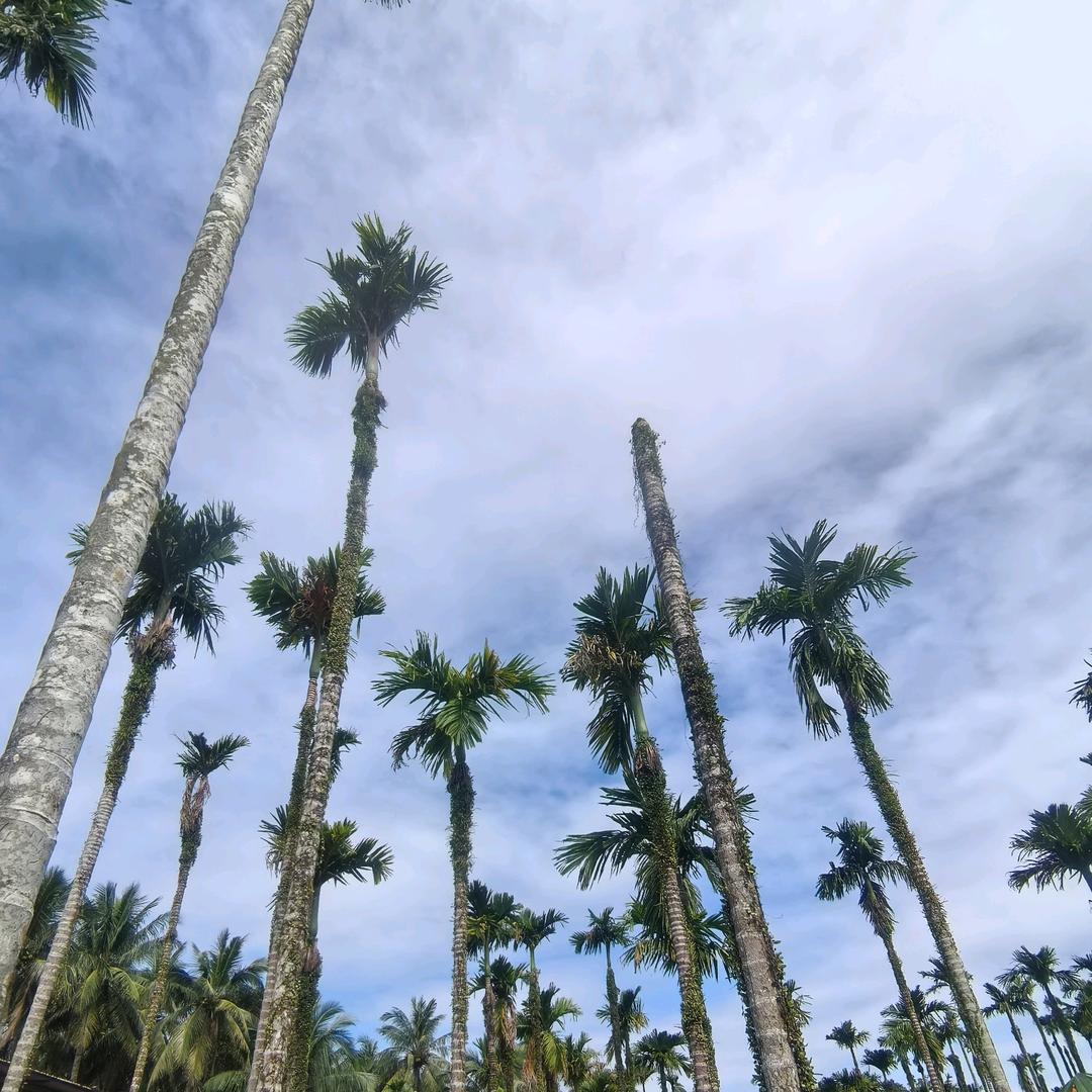 張同學的生活日記