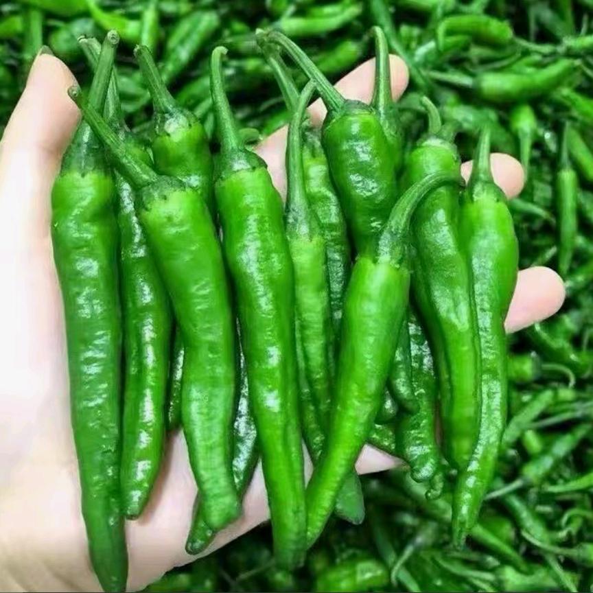 林妹子家用好物