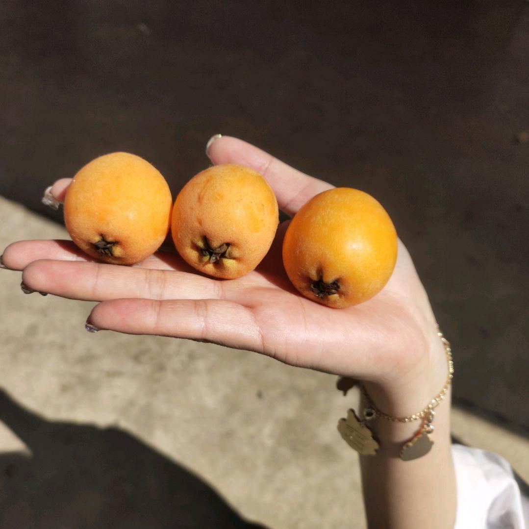 山涧之甘水果生鲜