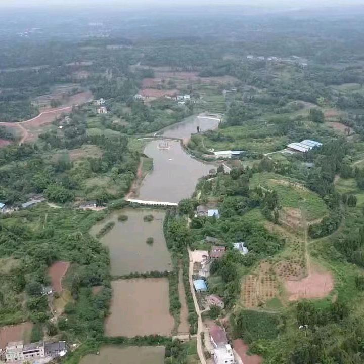 国腾共享数字农场