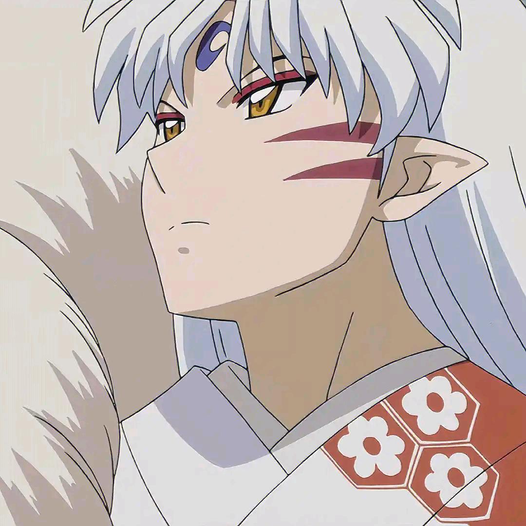 晚秋o