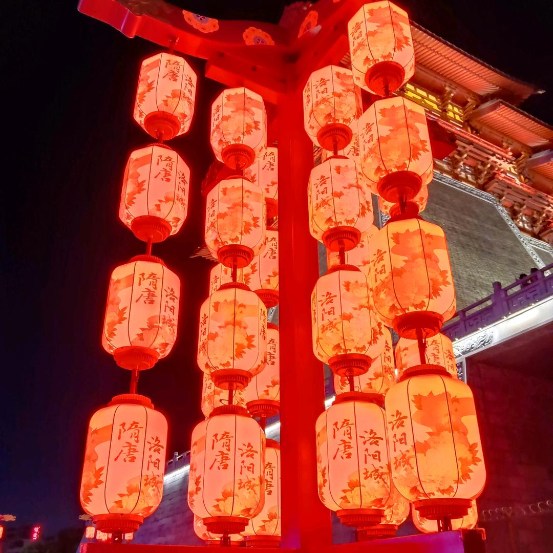 洛阳小白