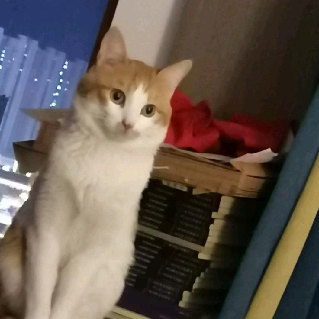 上善若水