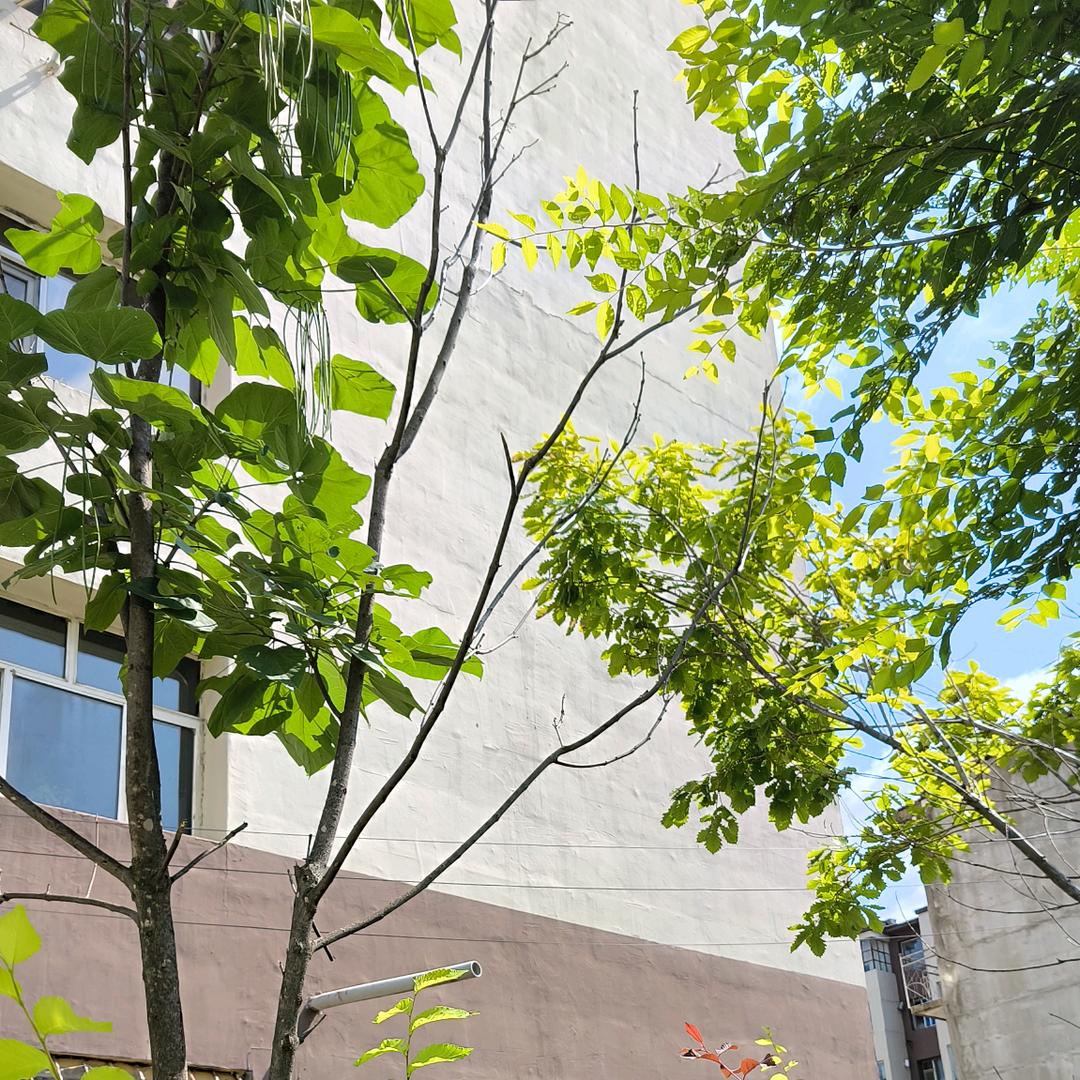 拥抱（蛋仔派对）