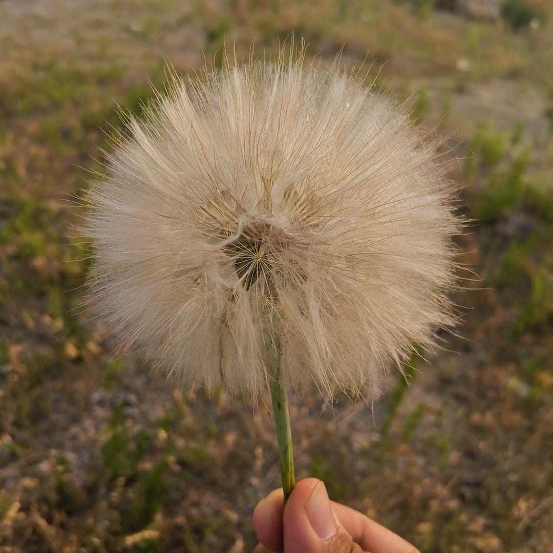 放荡不羁笑点低
