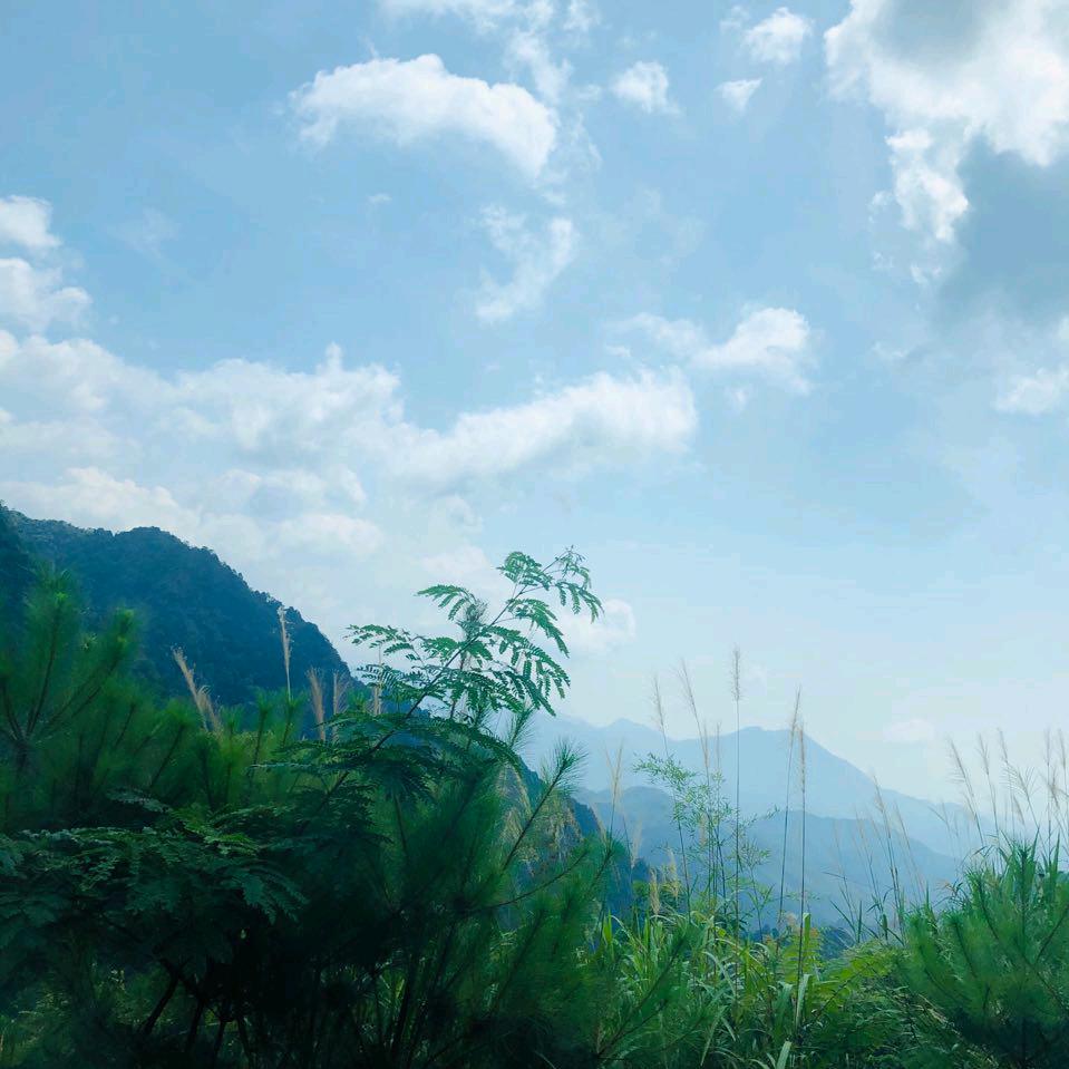 自由飞翔
